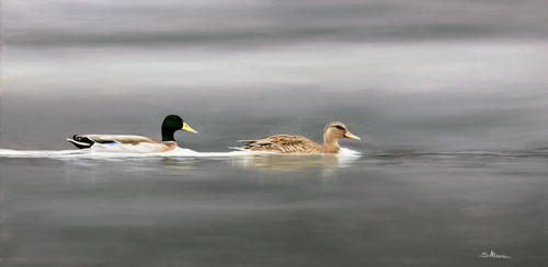 couple-de-colverts500