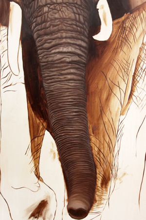 elephant-16-300