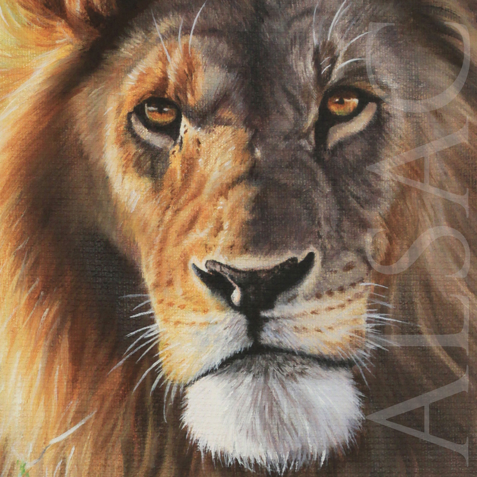 portrait-peinture-lion-lumière-regard-art-animalier-afrique
