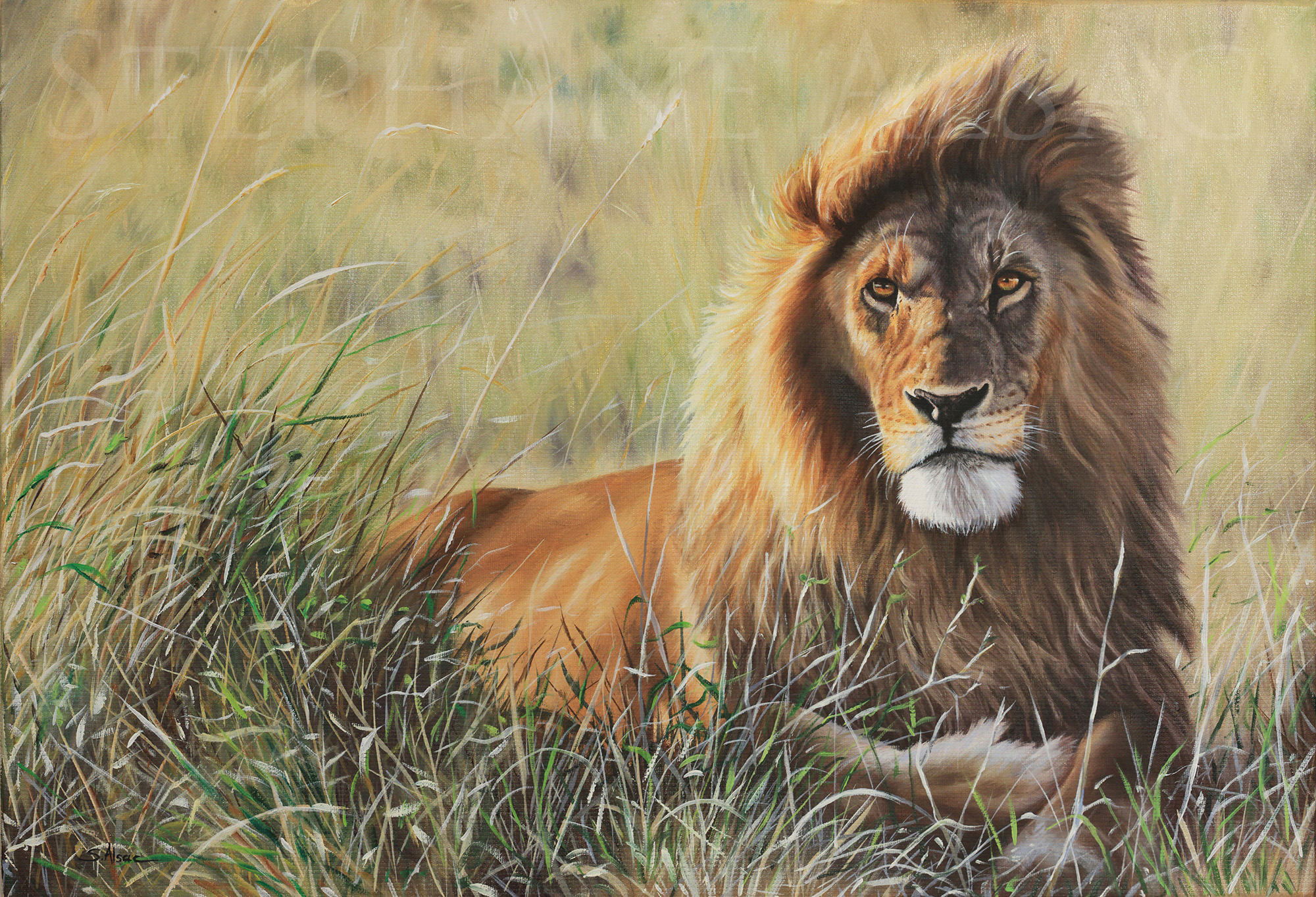 tableau-peinture-felin-lion-male-repos-art-animalier