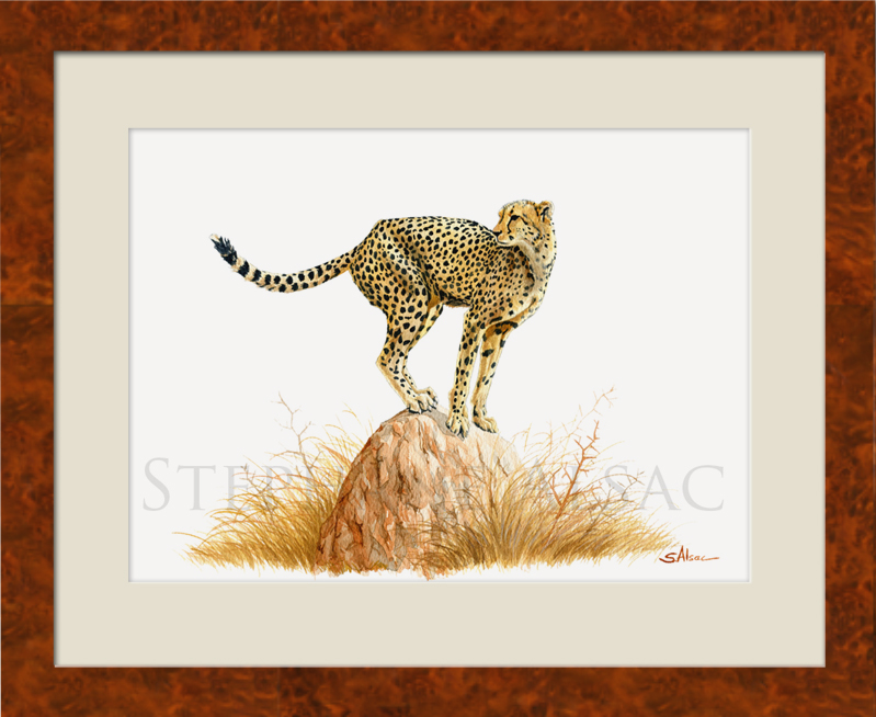 guepard-encadre