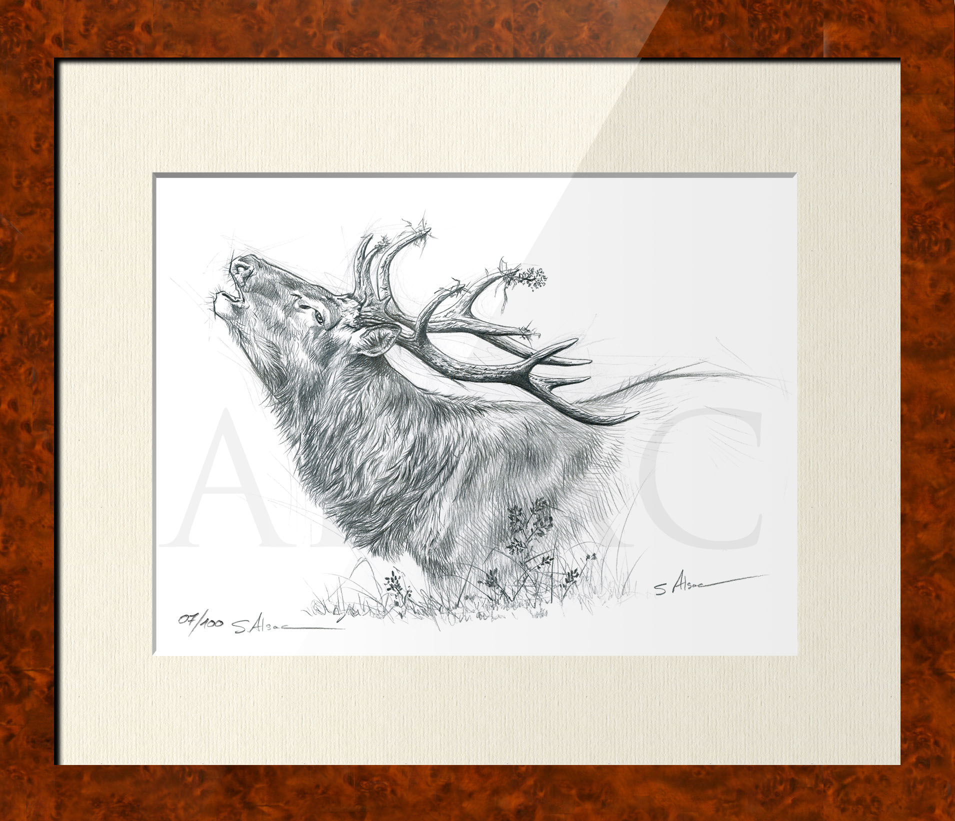 frame-painting-sketch-red-deer-stag-bellowing-hunt