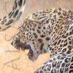 print-giclee-canvas-painting-leopards-wild-animals-africa