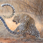 toile-peinture-realiste-leopard-art-animalier-afrique-artiste-alsac