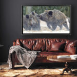 decor-idea-trophy-room-hunting-painting-animals-wildboars