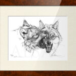 illustration-drawing-fight-wolves-printt-limited-edition