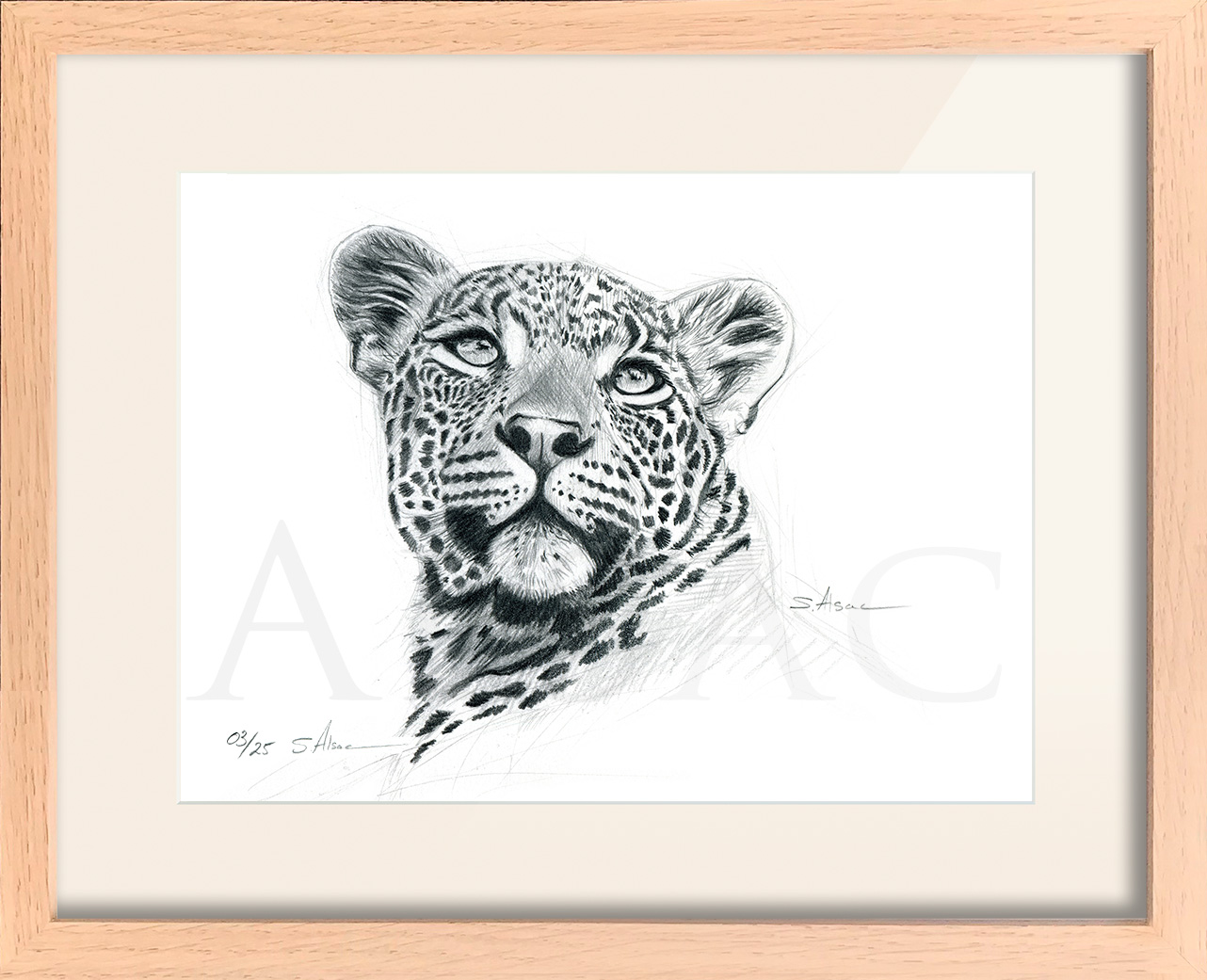 portrait-dessin-leopard-tabeau-sauvage