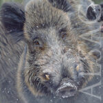 painting-canvas-wildlife-art-french-sologne-wildboars-hunting