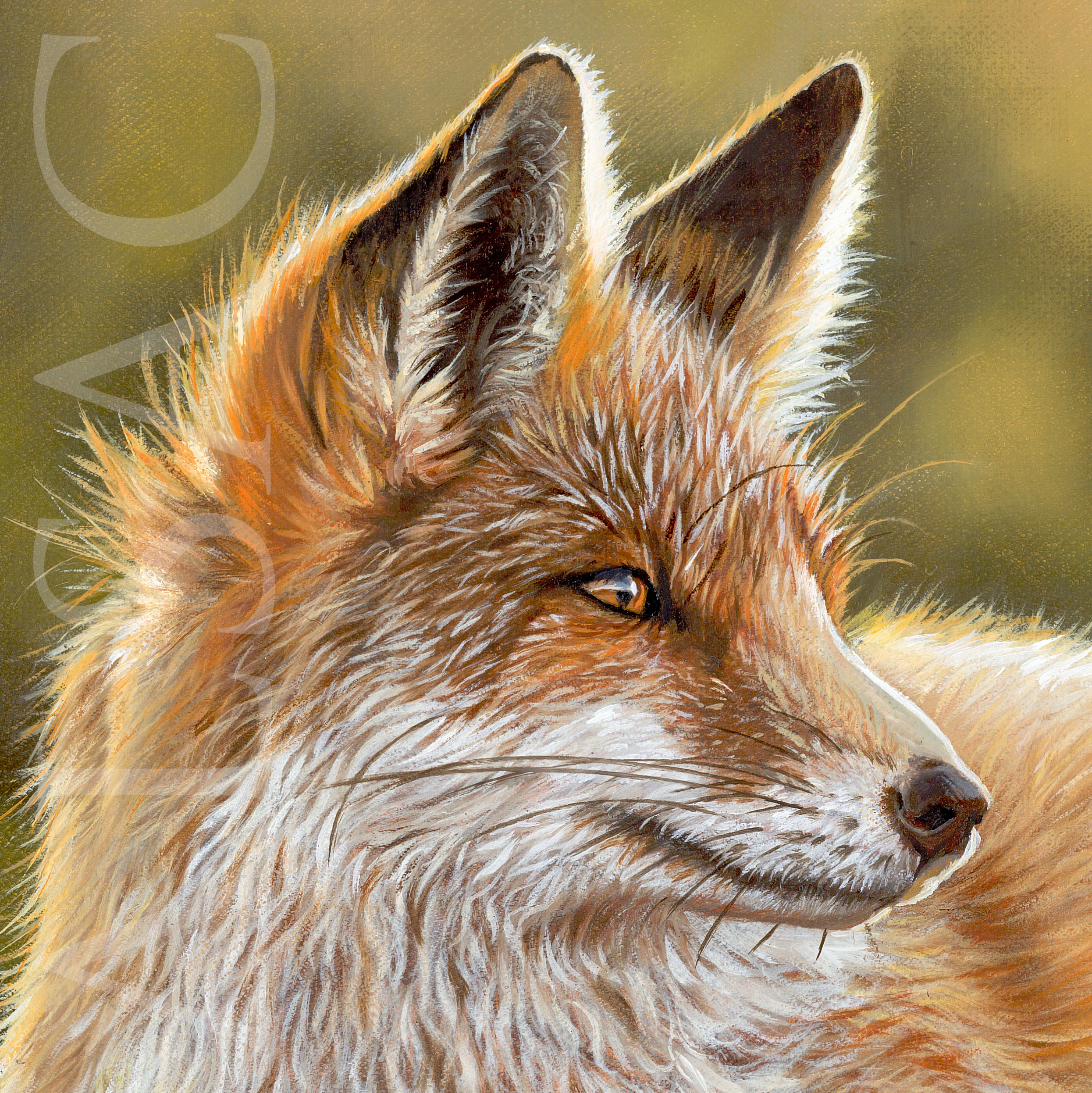 painting-canvas-fox-wildlife-art-realistic-artist