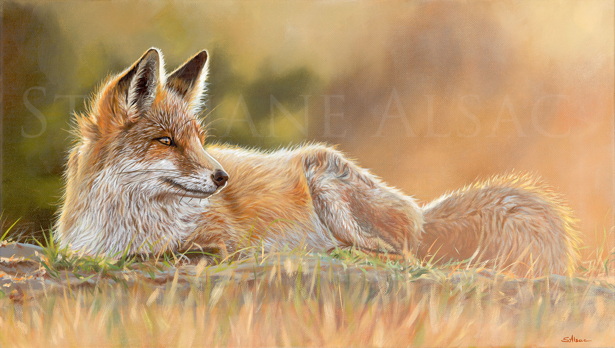 oil-painting-canvas-fox-hyper-realistic-artist-alsac