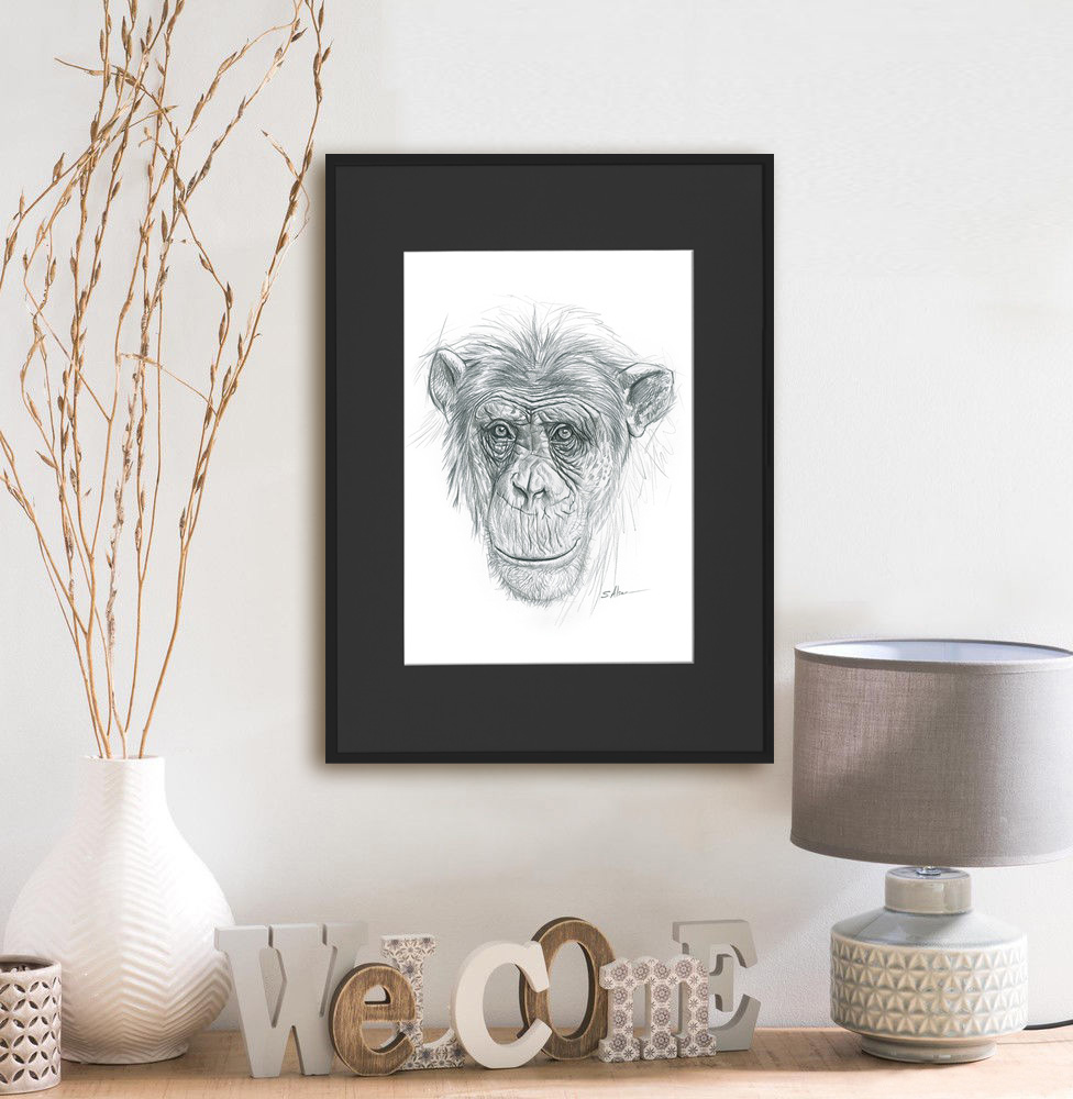 deco-dessin-croquis-art-primate-chimpanze-bonobo-artiste-tableau