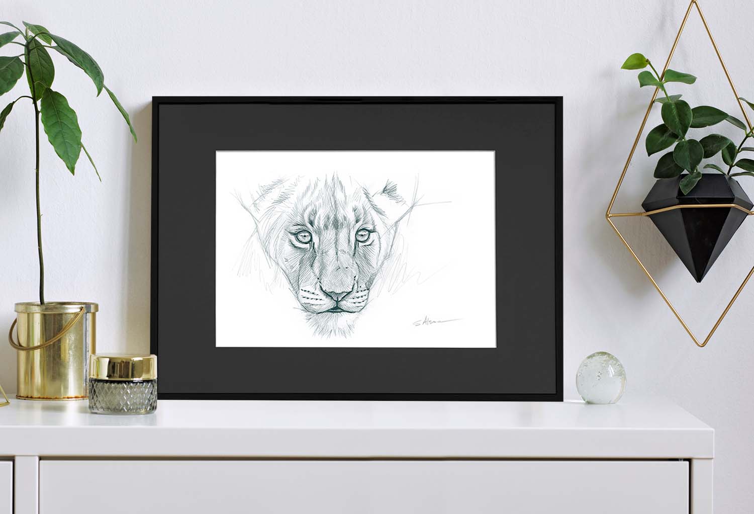 dessin-artistique-croquis-lionceau-animaux afrique-felin-art