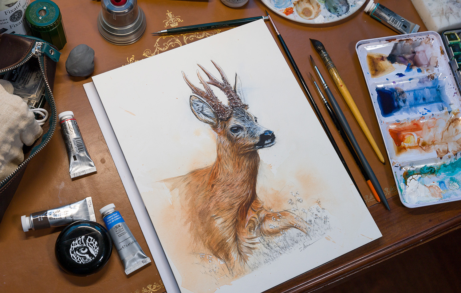 Stephan-alsac-wildlife-artist-animal-painting-france
