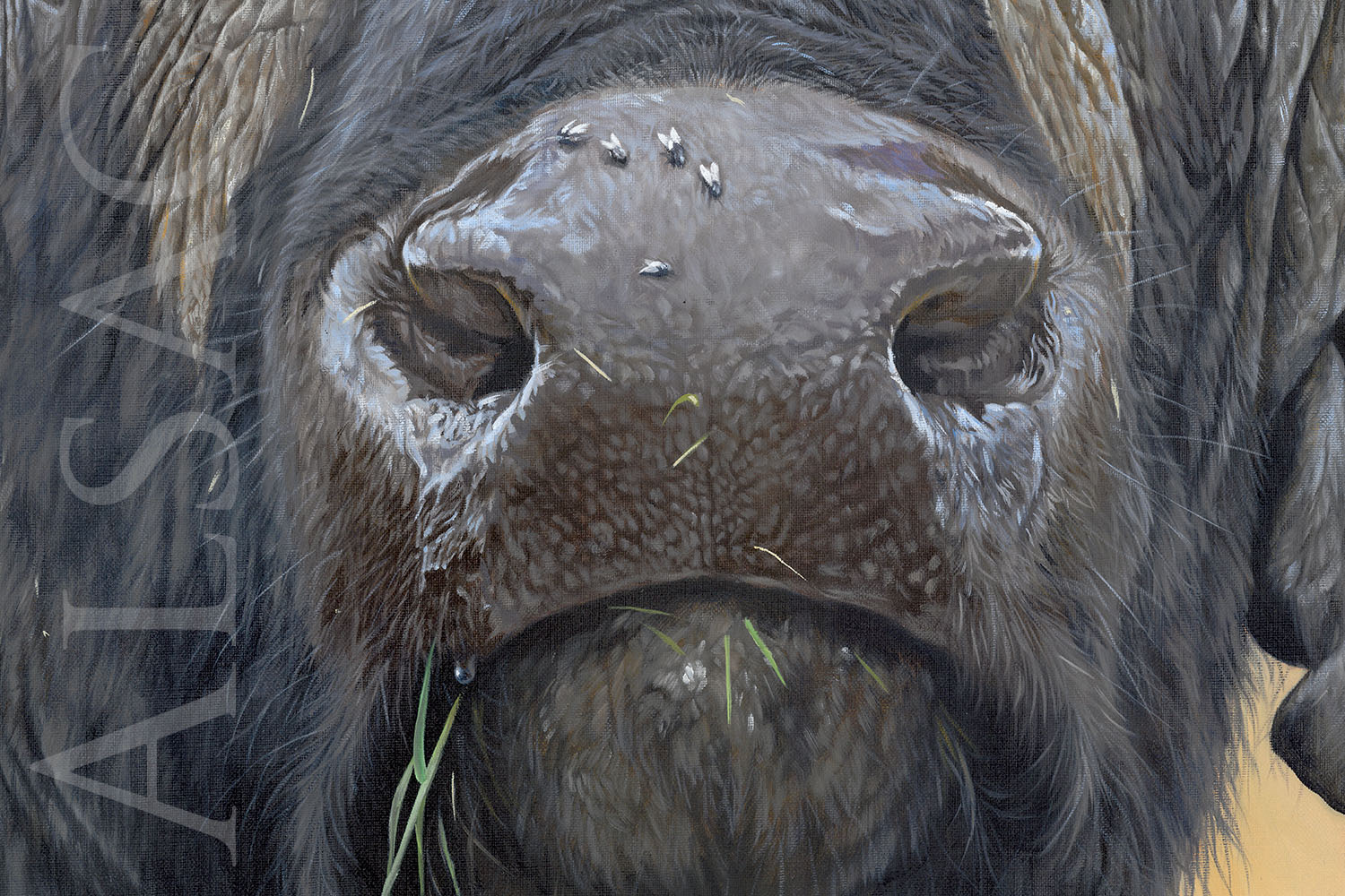 giclee-on-canvas-large-painting-cape-buffalo-painting