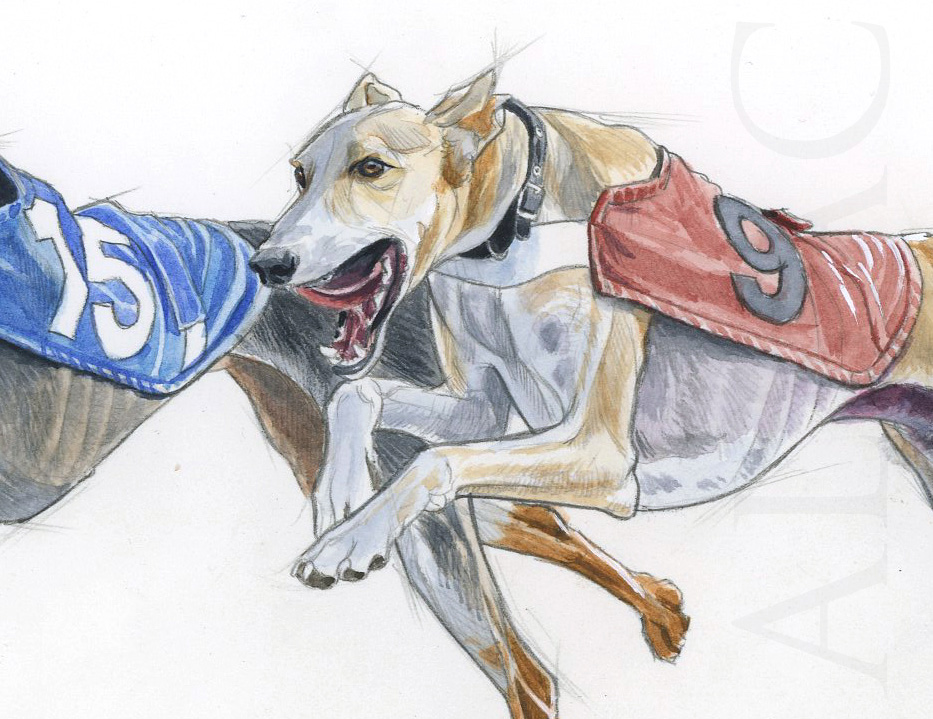 Art-deco-painting-greyhounds-salukis-drawing-watercolor