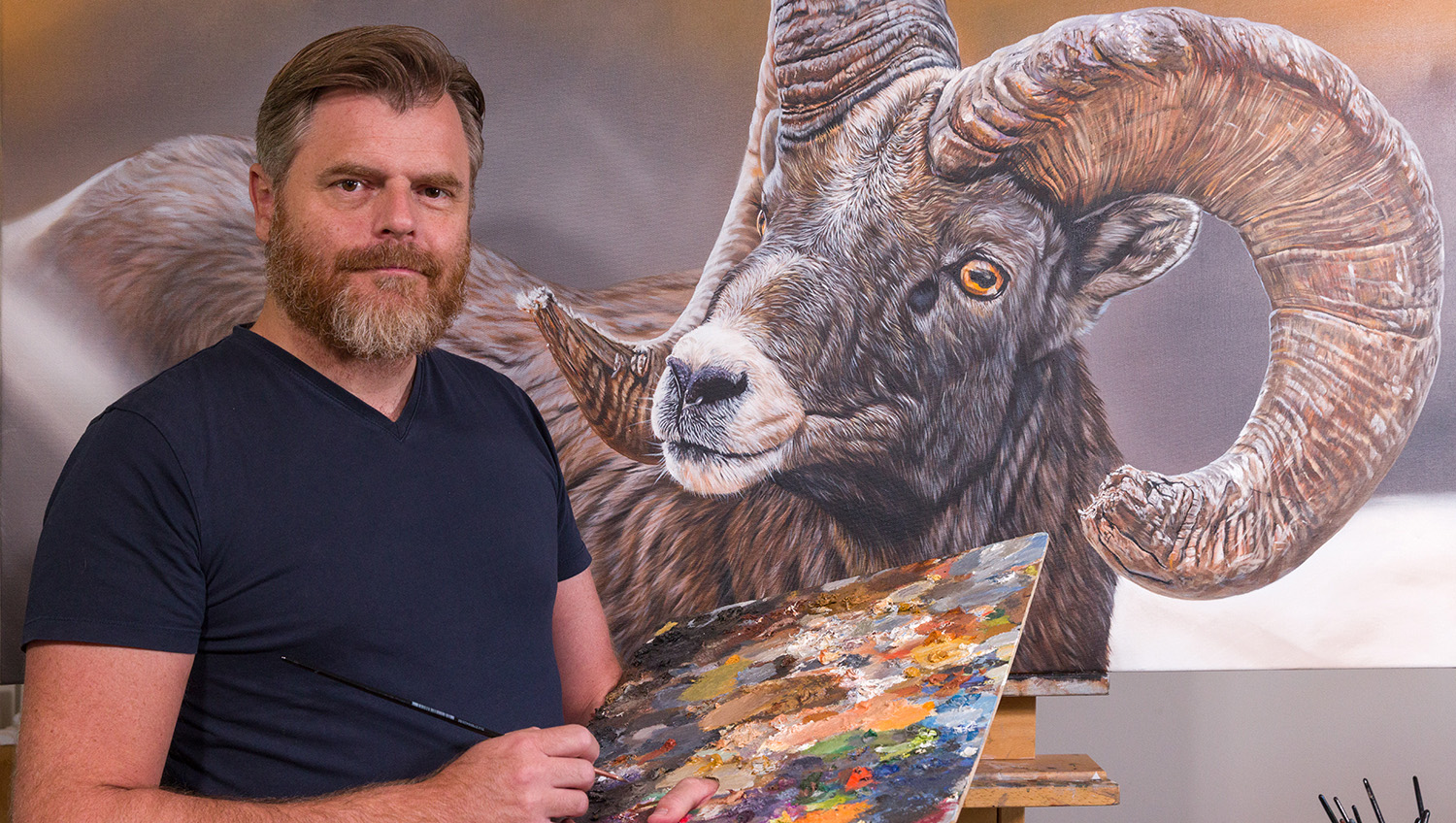 artiste-peintre-animalier-realiste-celebre-mouflon-stephane-alsac