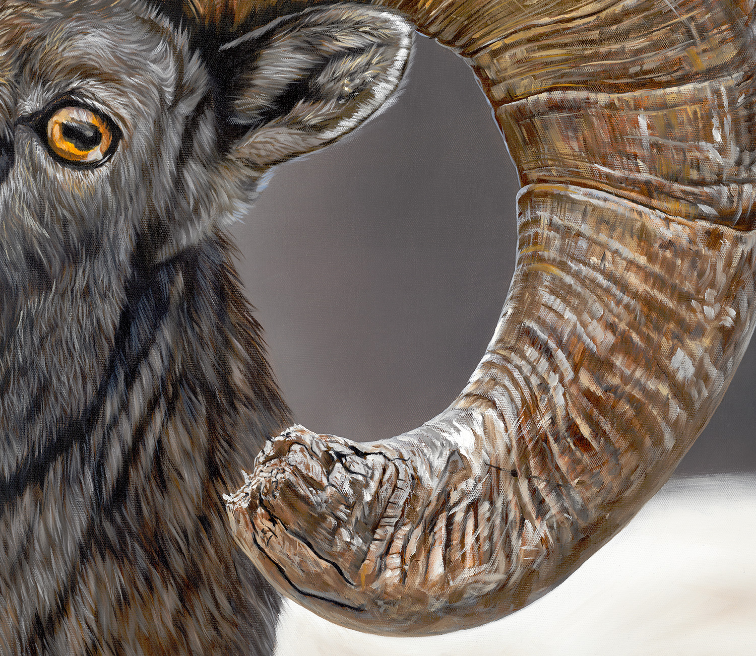 detail-tableau-hyper-realiste-corne-mouflon-artiste-animalier-alsac