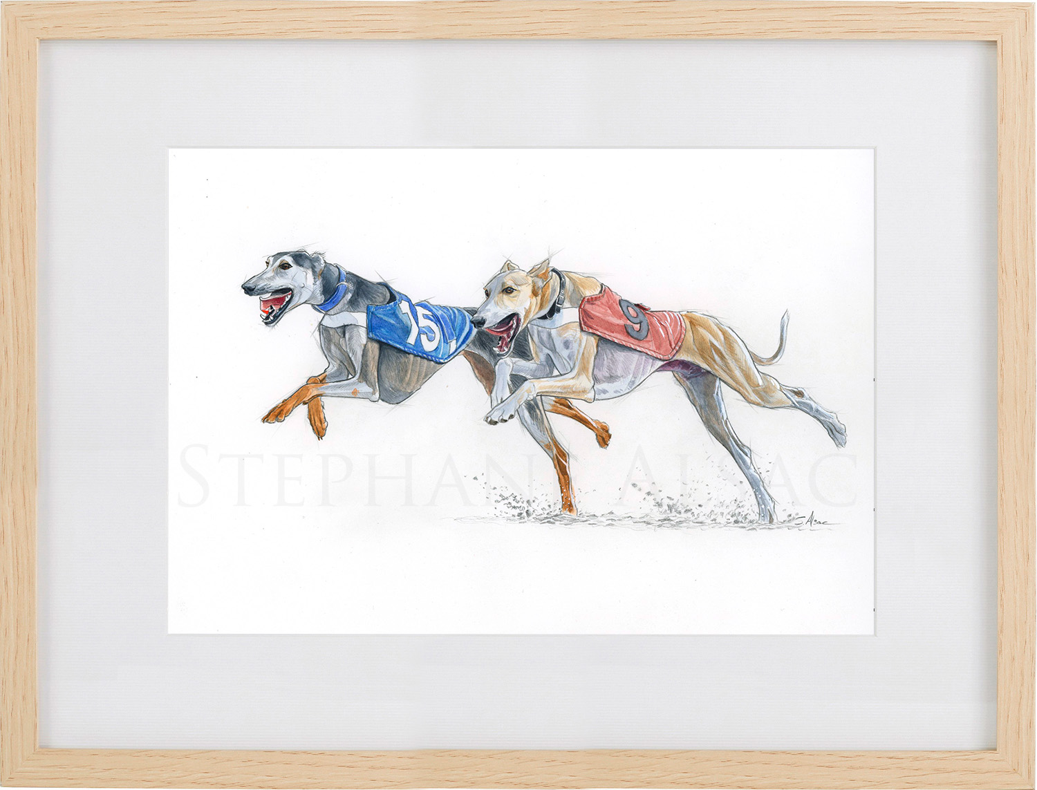 illustration-art-salukis-race-dogs-greyhounds-qatar