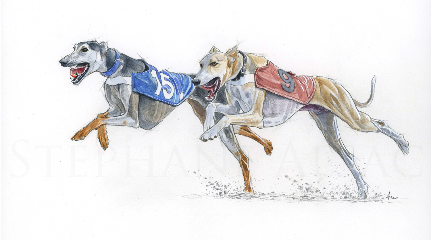 peinture-chien-courant-saluki-levrier-persan-course-emirats