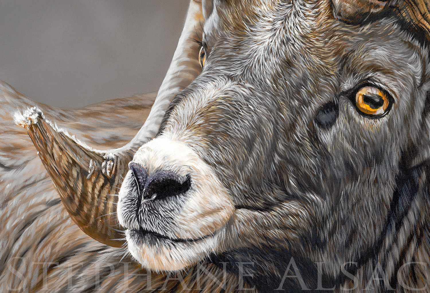 portrait-peinture-tableau-mouflon-canada-art-animalier