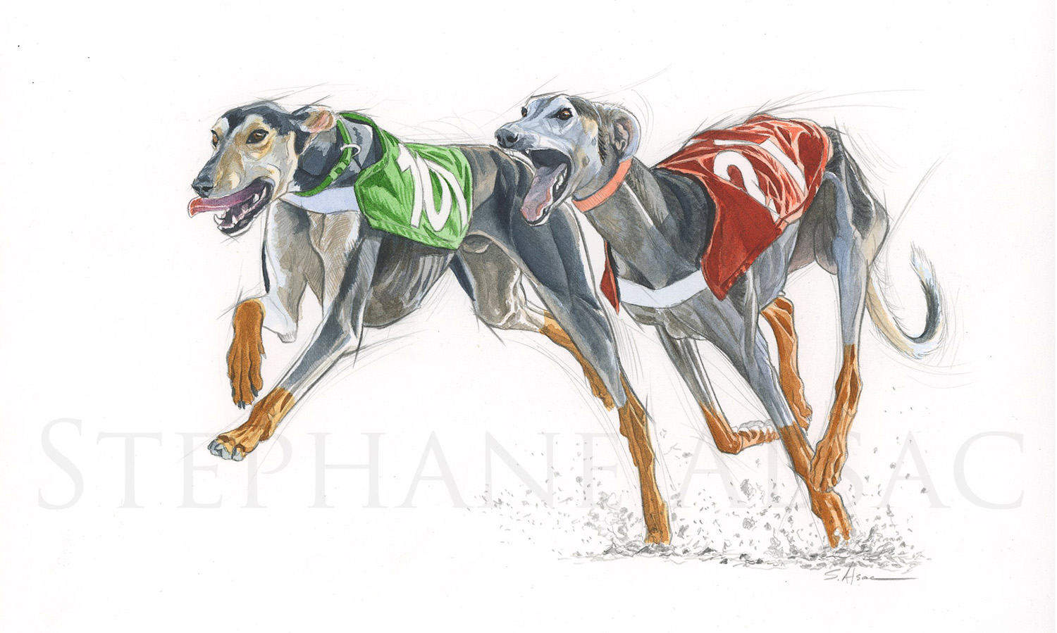 painting-racing-greyhounds-salukis-persan-qatar