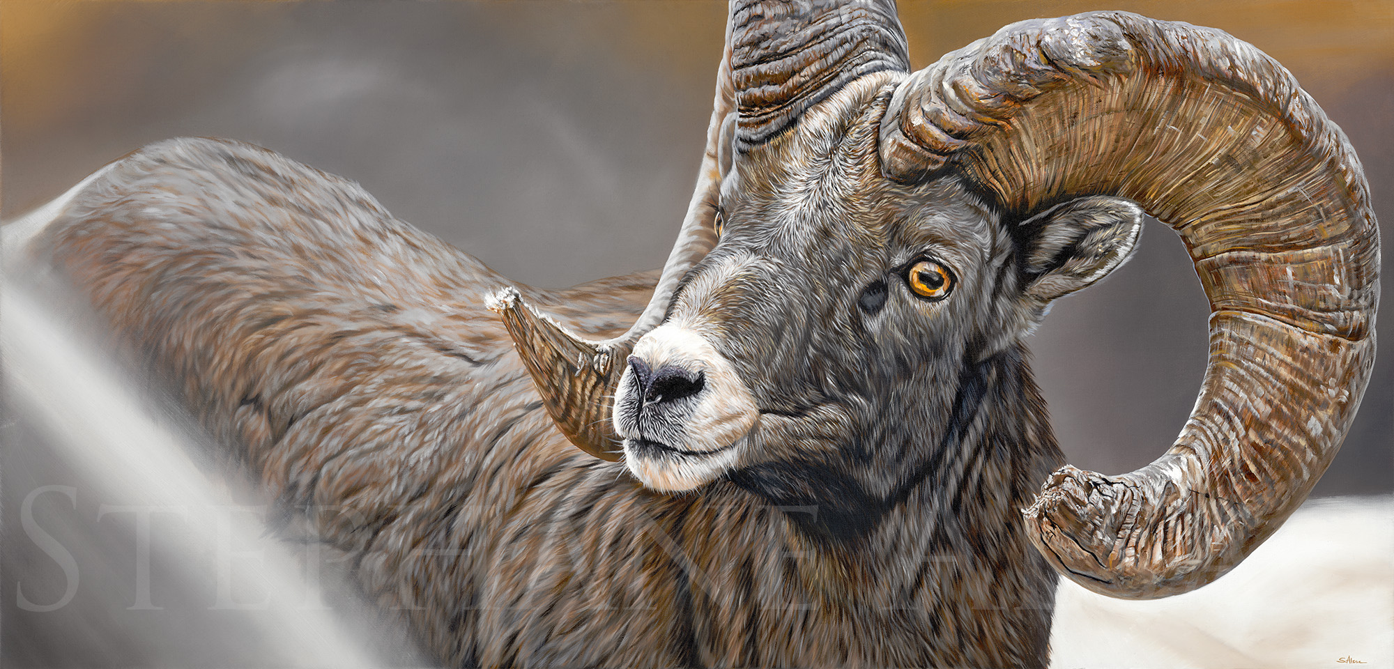 tableau-peinture-mouflon-canada-artist-alsac