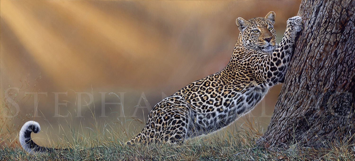 tableau-peinture-safari-afrique-leopard-panthere-romi