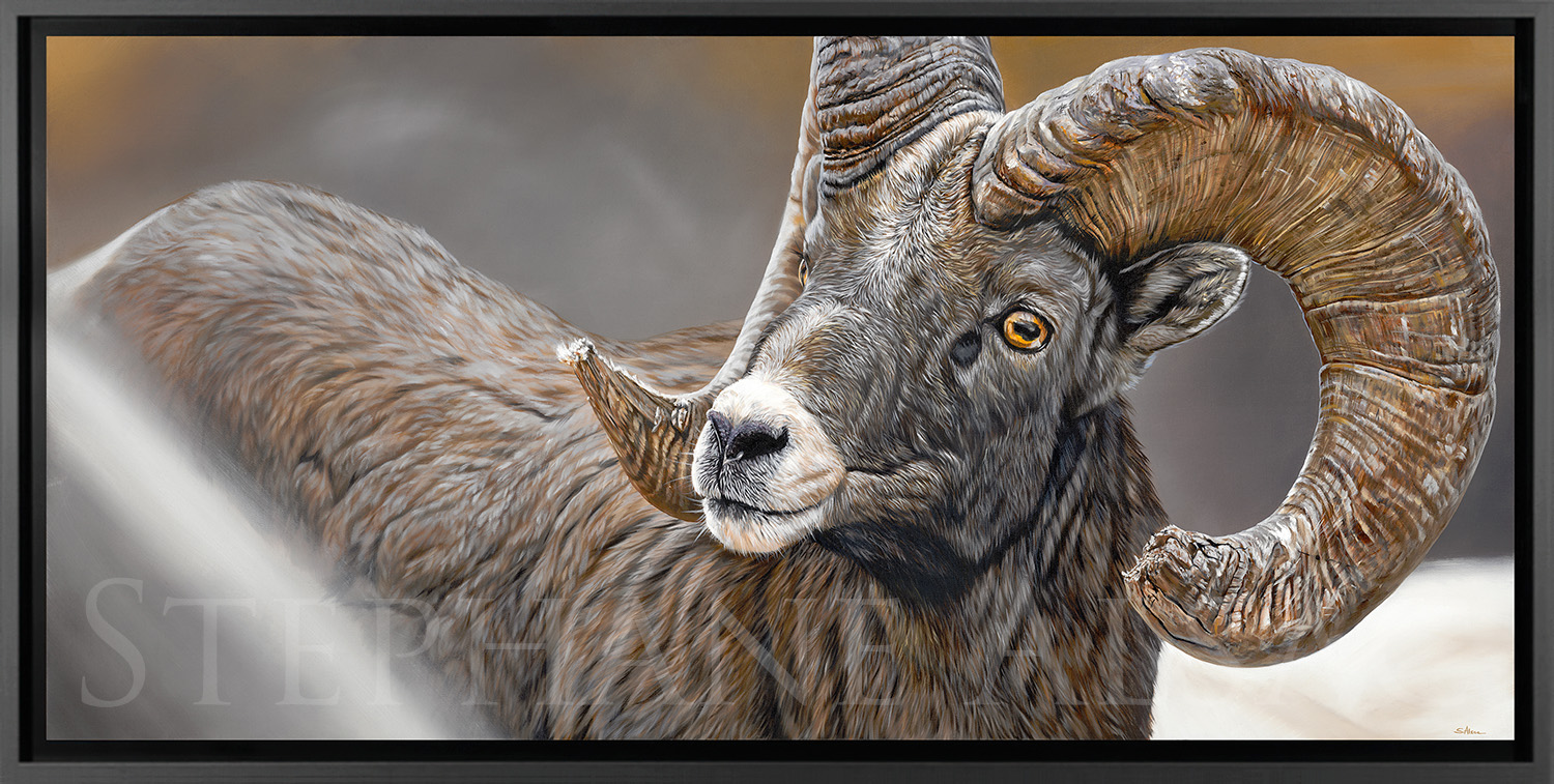 painting-canvas-bighorn-sheep-wildlife-artist-sci-convention-alsac