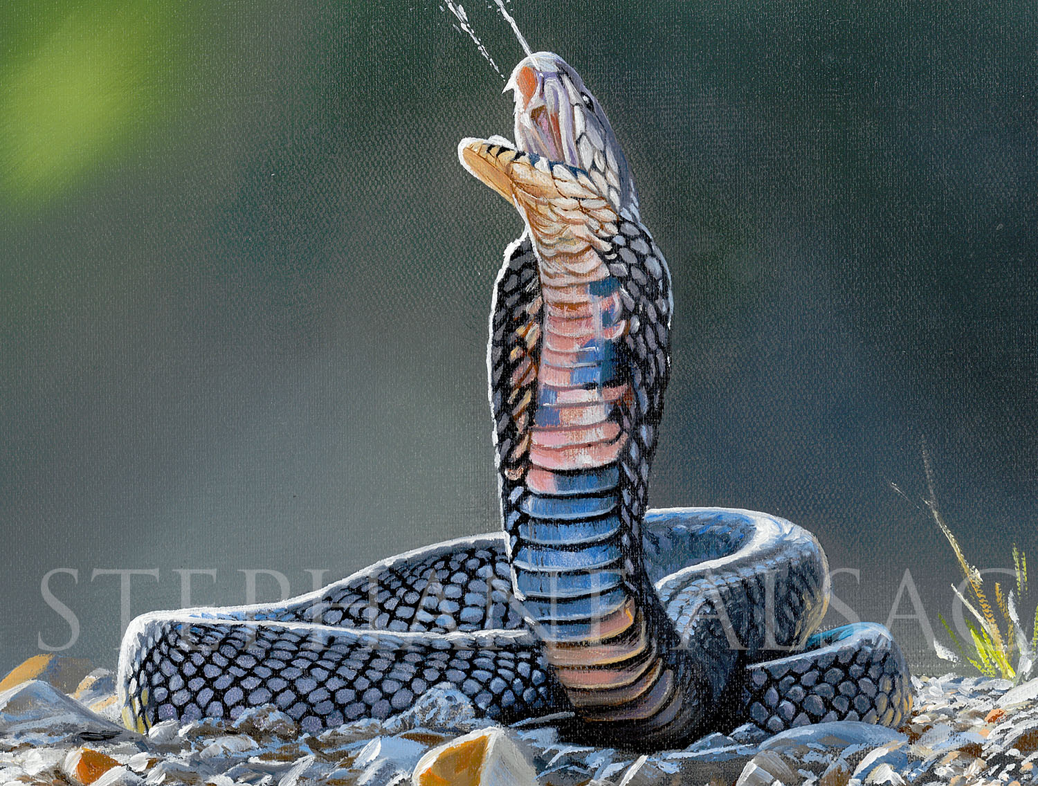 deco-mural-peinture-serpent-cobra-afrique-realiste