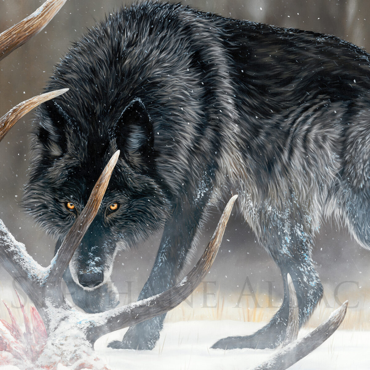peinture à l'huile d'un grand loup noir dans la neige
