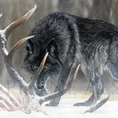 grand tableau de loup noir dans la neige