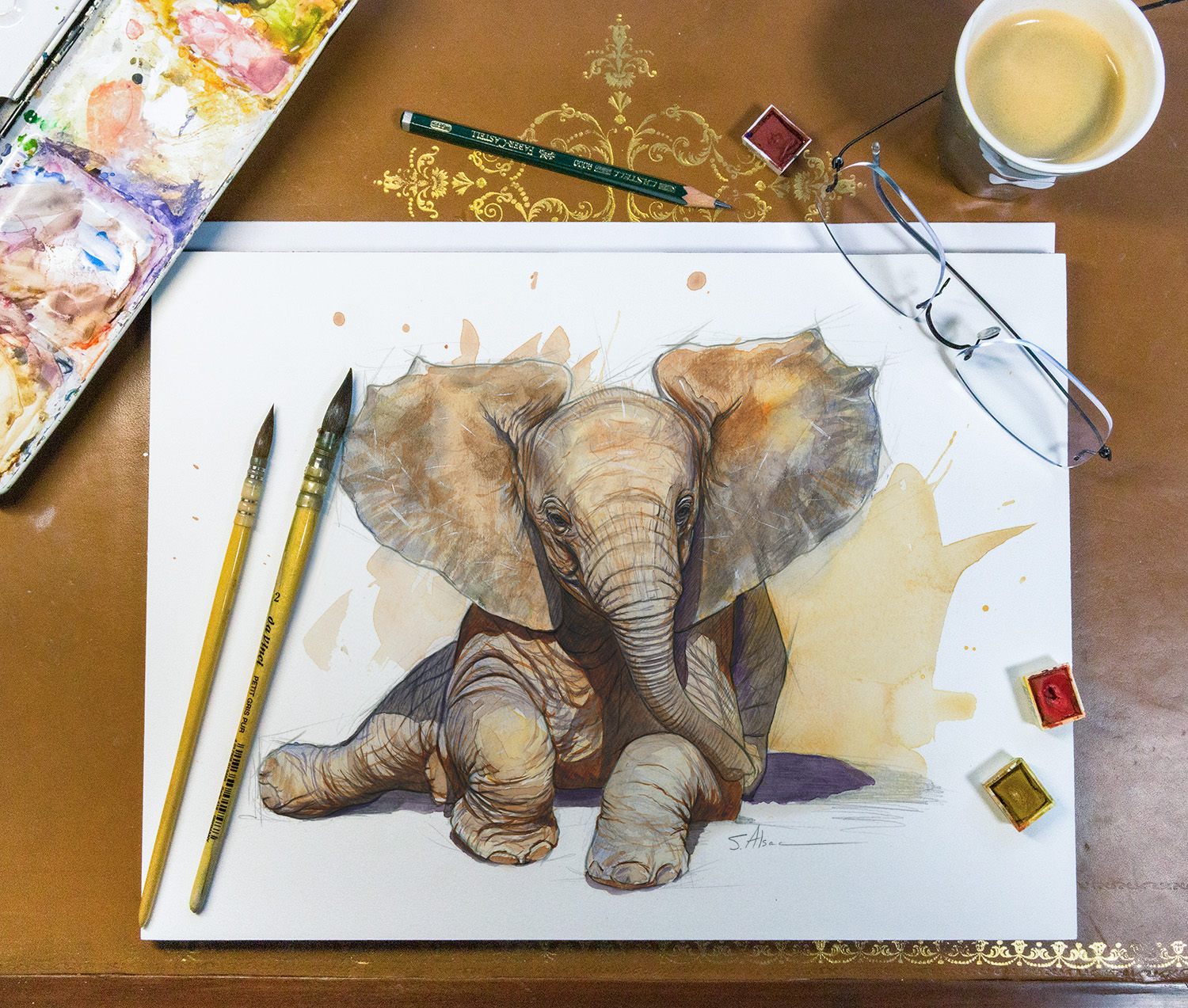 artiste-animalier-dessinateur-animaux-illustrateur-naturaliste-elephant