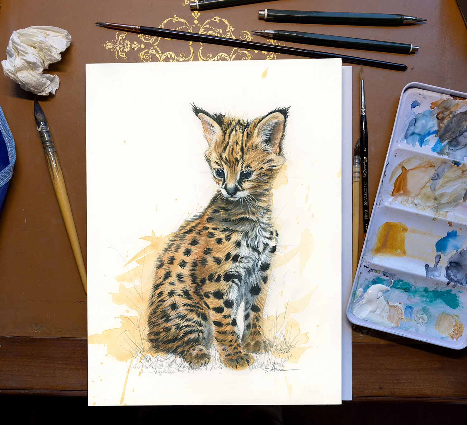 artiste-animalier-dessinateur-animaux-illustrateur-naturaliste-felin-serval