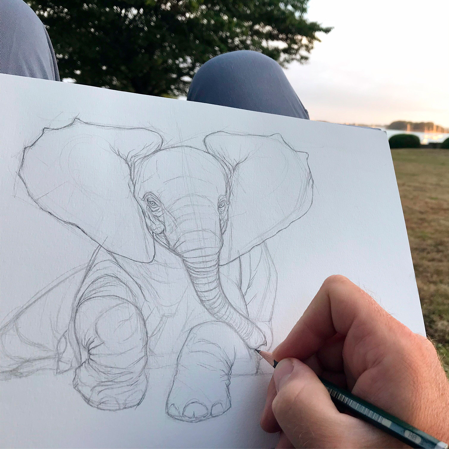 artiste-illustratuer-animalier-dessin-bebe-elephant-alsac