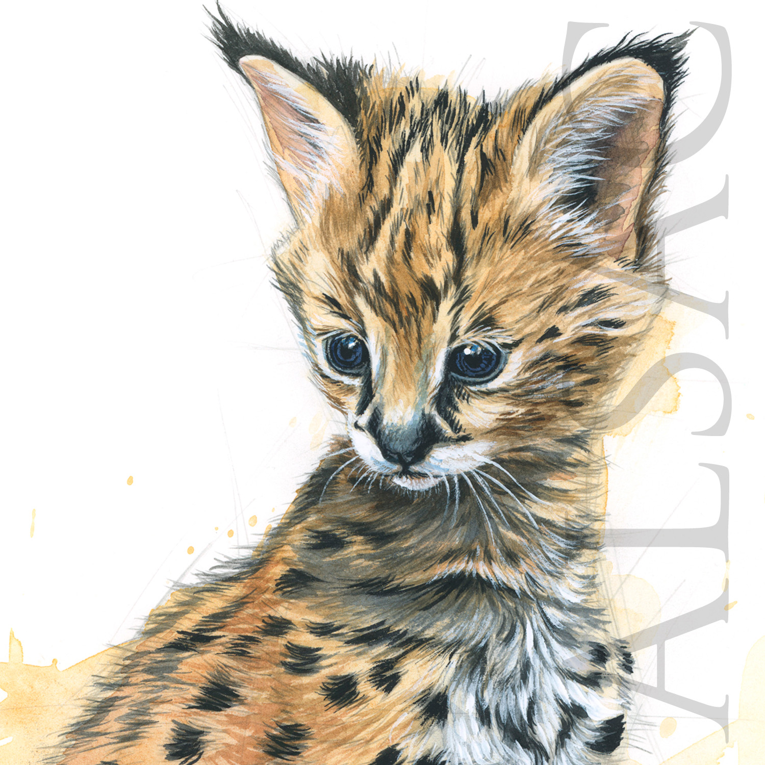 dessin-aquarelle-bebe-serval-felin-mignon-deco-enfant