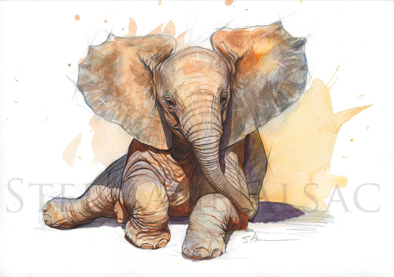 drawing-painting-baby-elephant-cute-gift-children