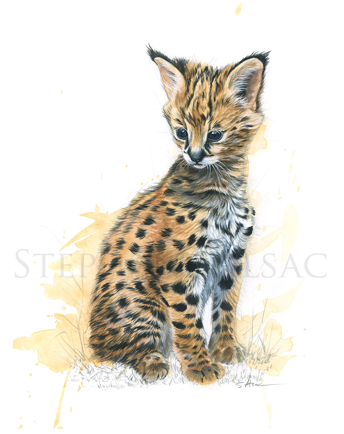 drawing-painting-baby-serval-cute-child-gift