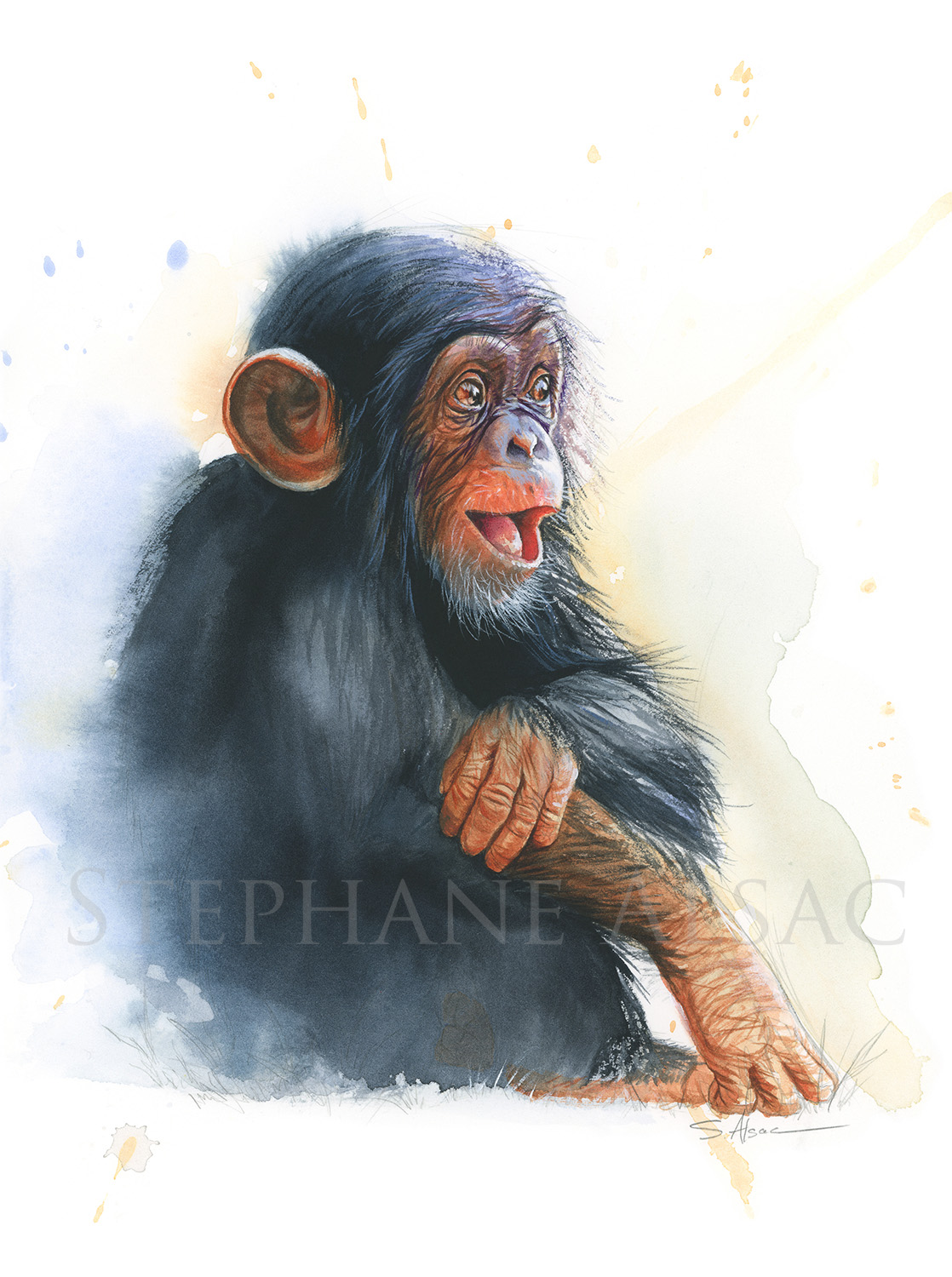 poster-print-baby-cute-animal-chimpanzee-jungle