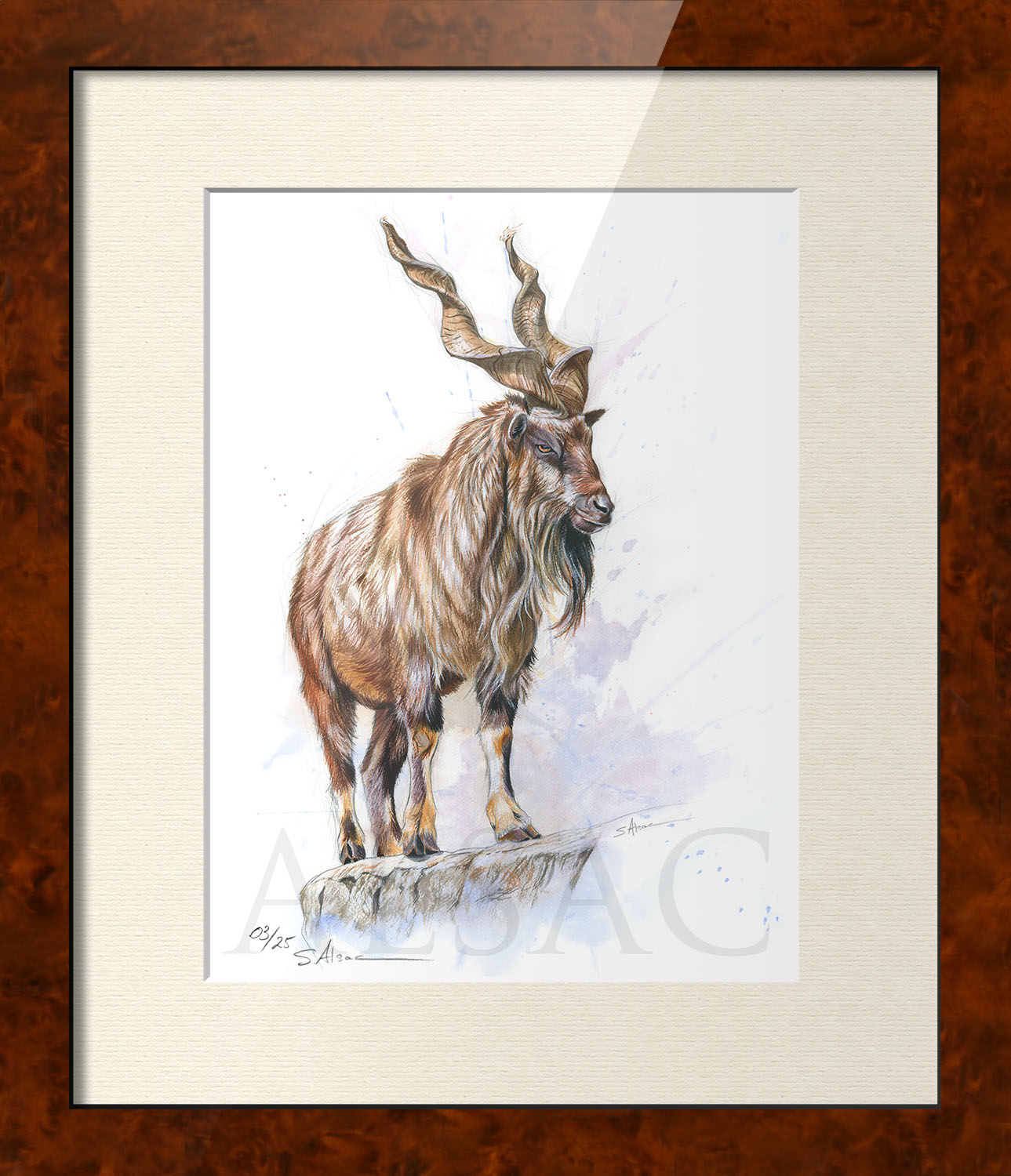 painting-frame-print-illustration-mountain-goat-markhor-art