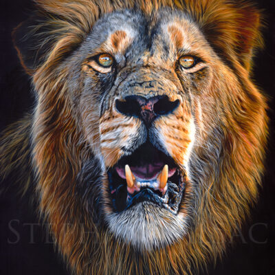 le tableau hyper-realiste d'un lion avec la gueule ouverte