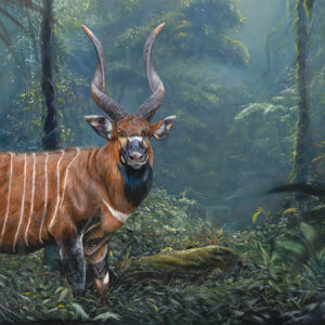 Tableau peinture bongo foret tropicale jungle afrique