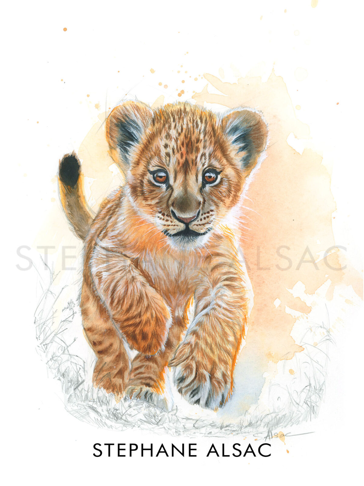 cadre-deco-bebe-animaux-savane-lion