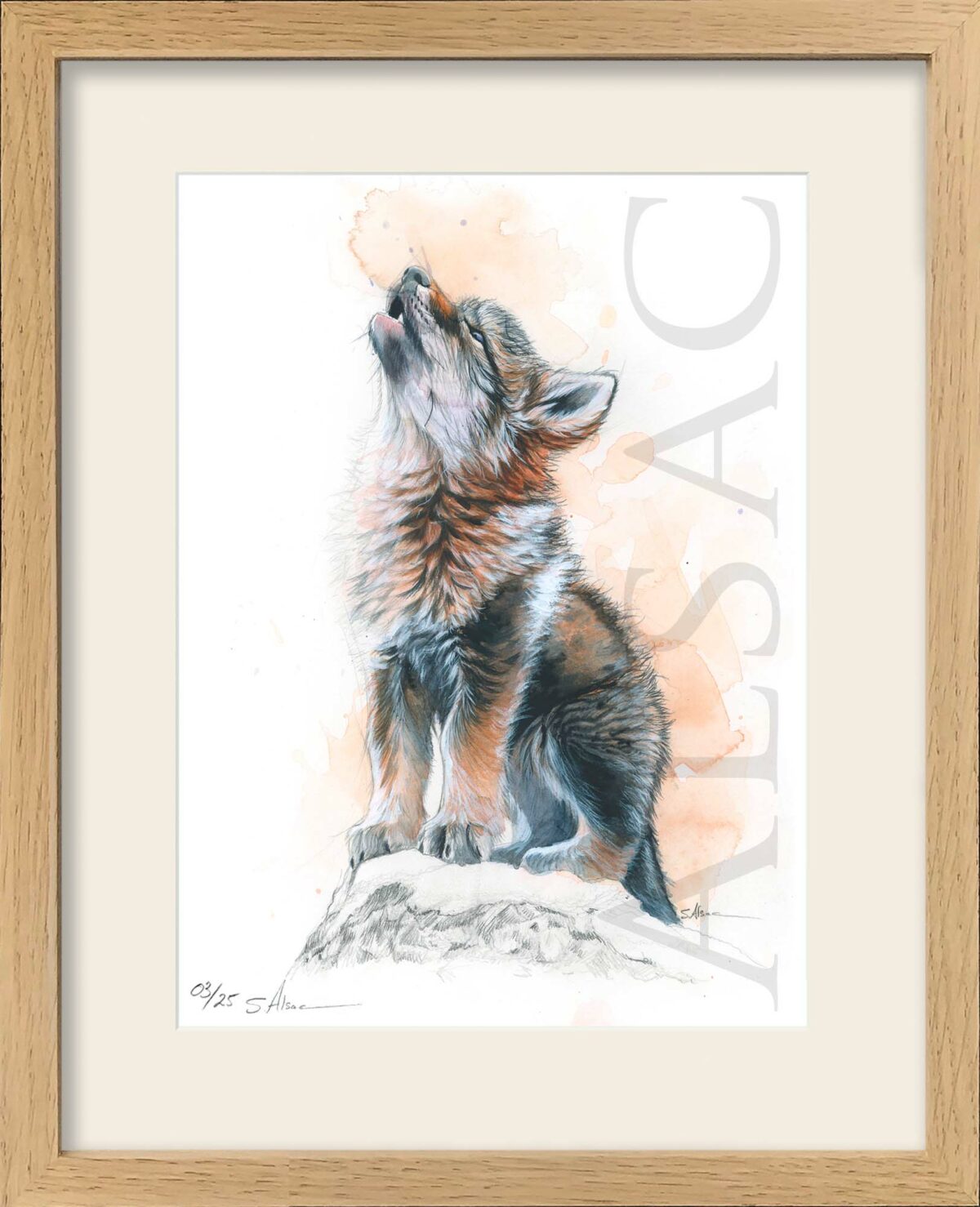 tableau-bebe-loup-chambre-enfant-animaux