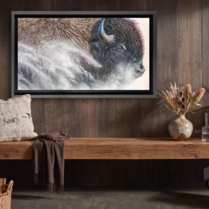 Transperceneige, tableau de bison en charge par Stéphane Alsac dans un chalet de montagne, Édition sur Toile