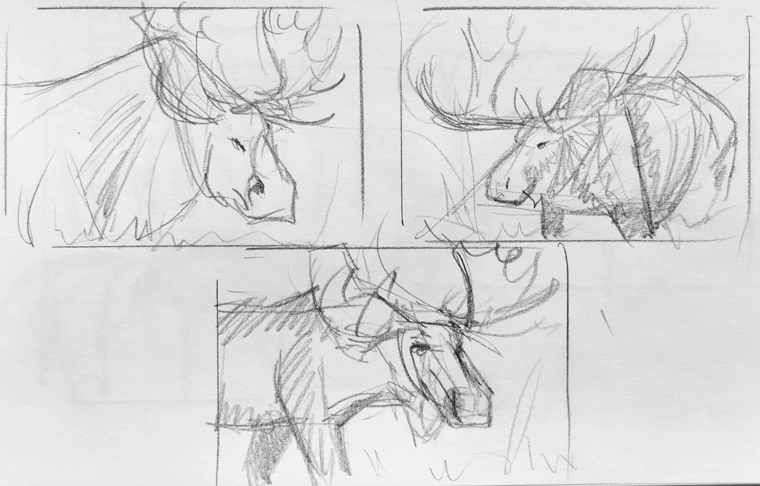 Sketch (2) First Sketches