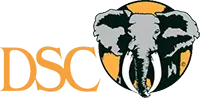 DSC Foundation