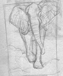 Studio Work The Big One, preparatory elephant sketch by Stéphane Alsac