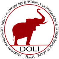 Doli logo