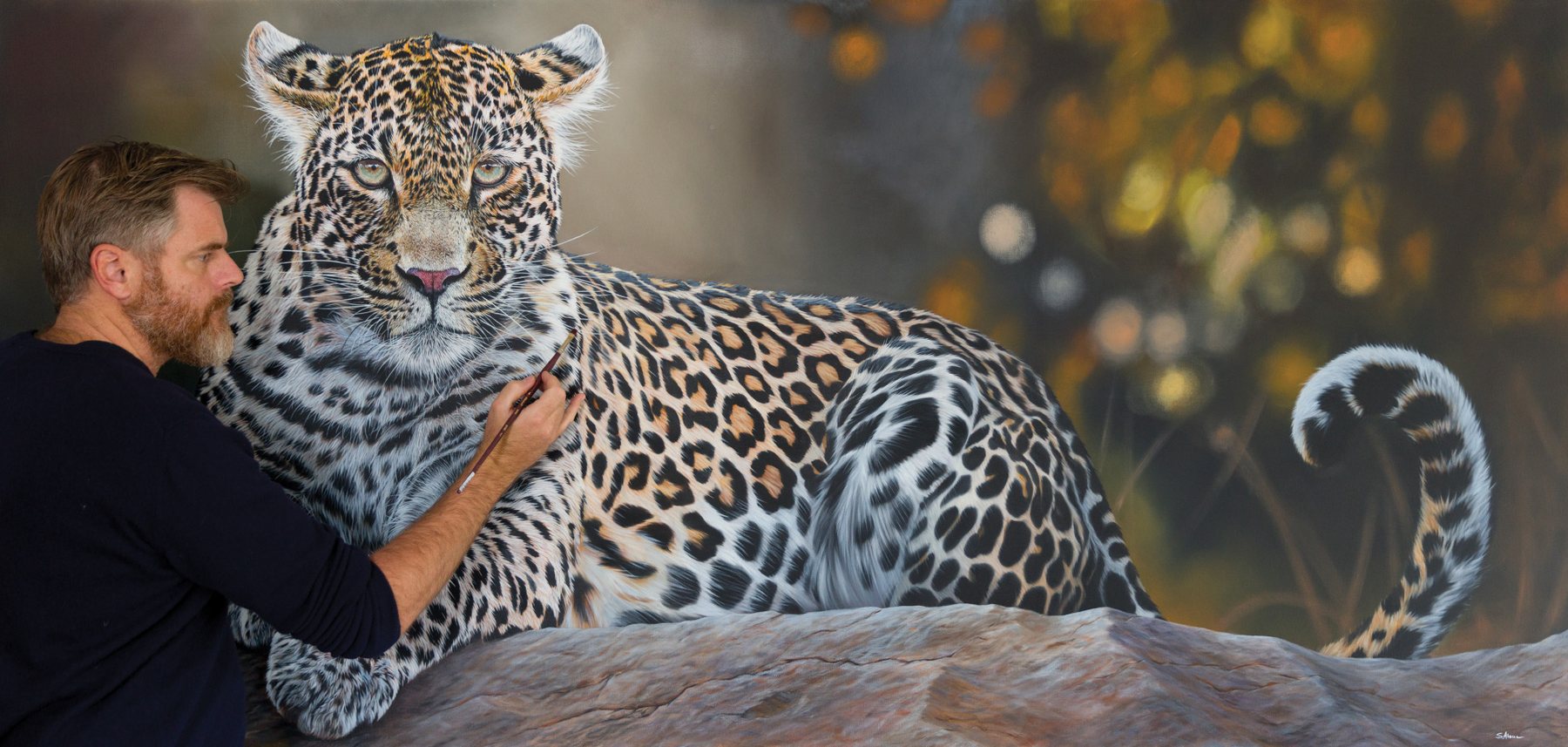 Stéphane Alsac, peintre animalier, peignant un léopard à l'huile dans son atelier