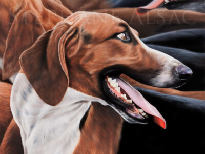 foxhound realistic painting